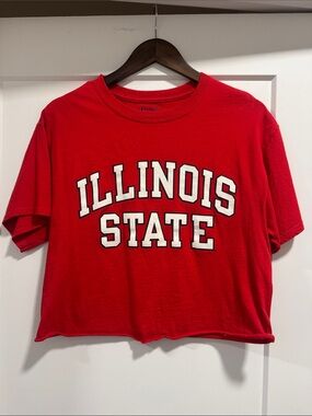 Champion Red Illinois State Graphic Tee - cropped